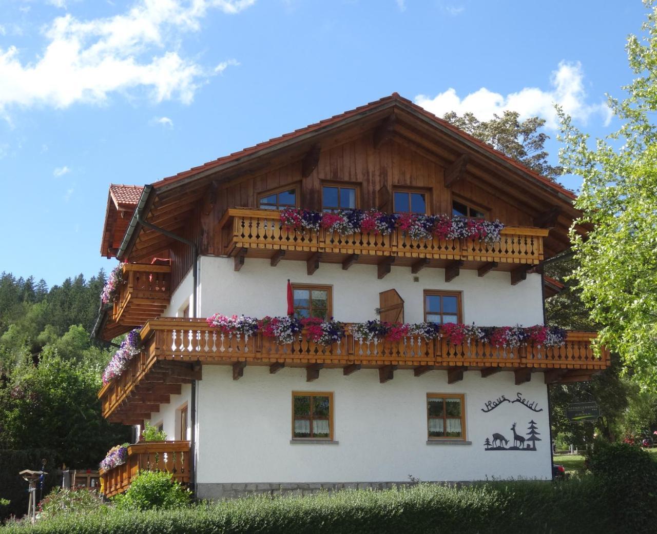 Haus Seidl Apartment Bodenmais Luaran gambar